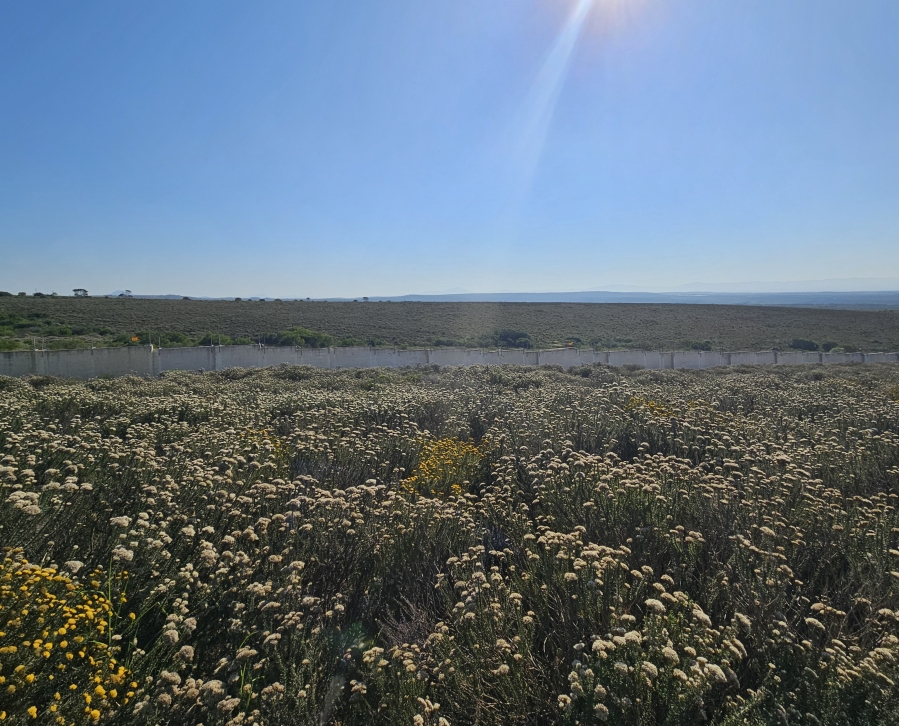 0 Bedroom Property for Sale in Blue Waters Estate Eastern Cape